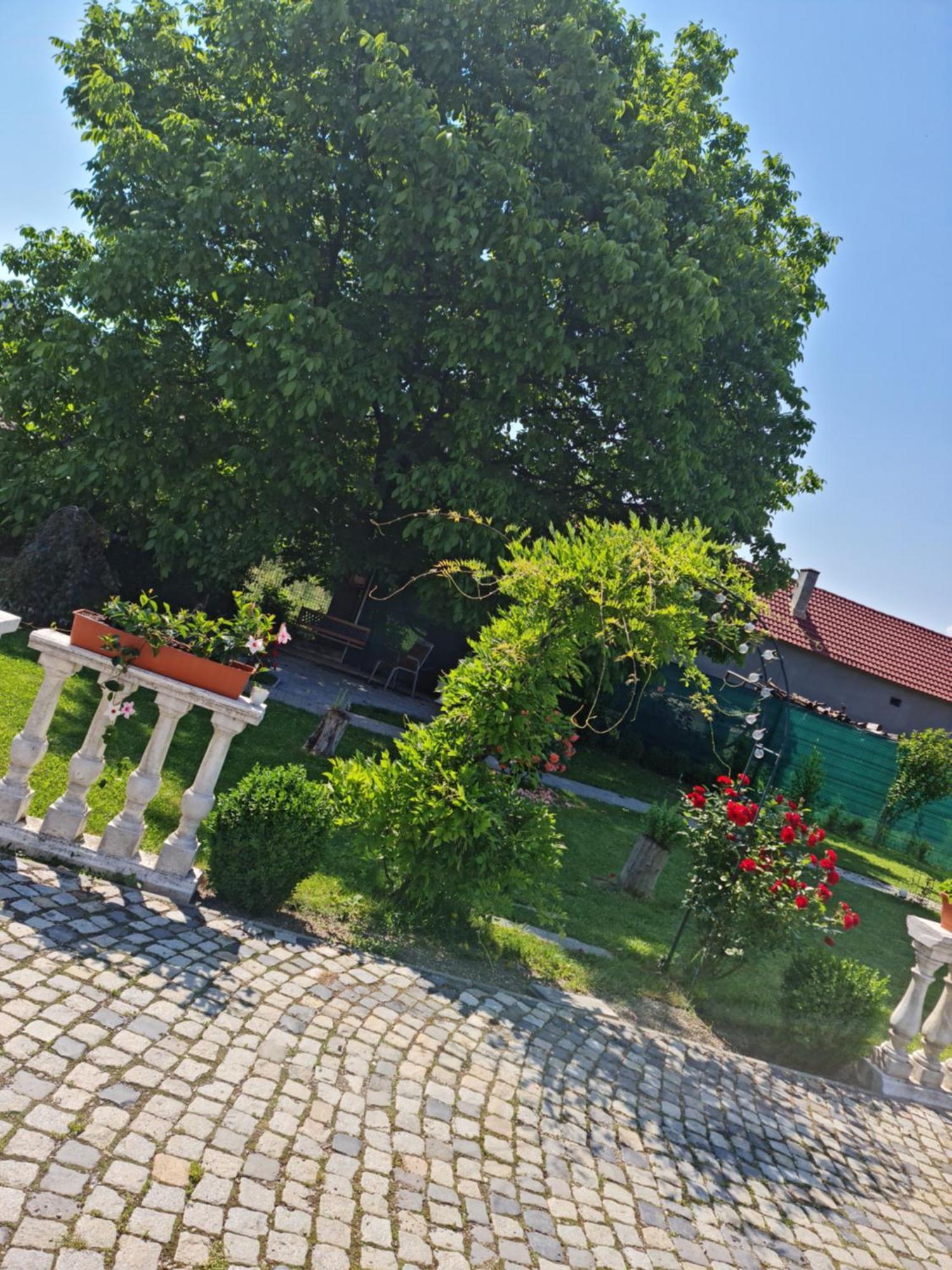 Pensiunea Baroc Dobirlau ภายนอก รูปภาพ