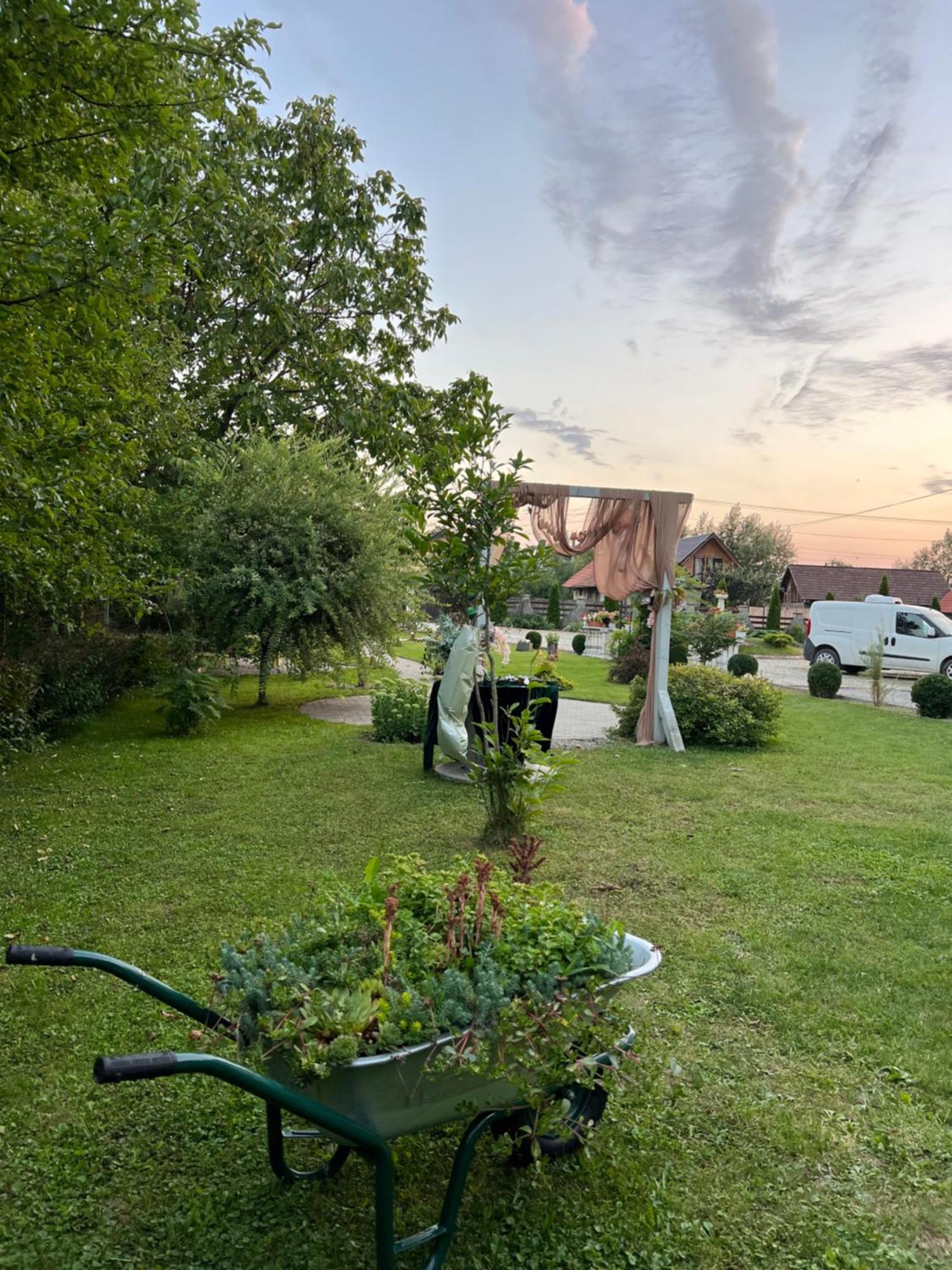 Pensiunea Baroc Dobirlau ภายนอก รูปภาพ